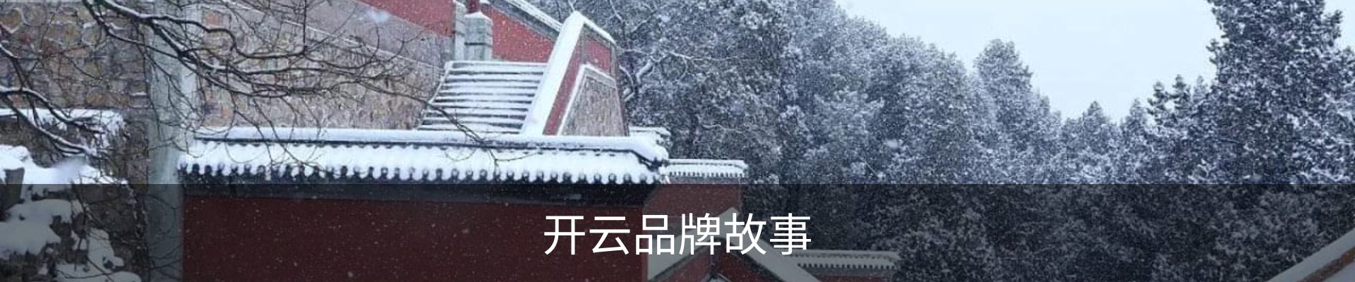 开云品牌故事